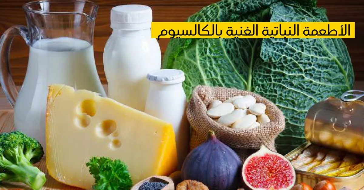 الأطعمة النباتية الغنية بالكالسيوم
